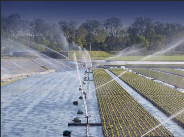 氨氮：水中的“雙刃劍”，你了解多少？